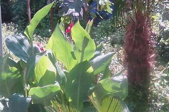 Частный сектор «У Кристины»