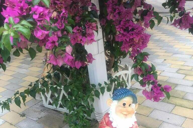 Гостевой дом «Ламэр»