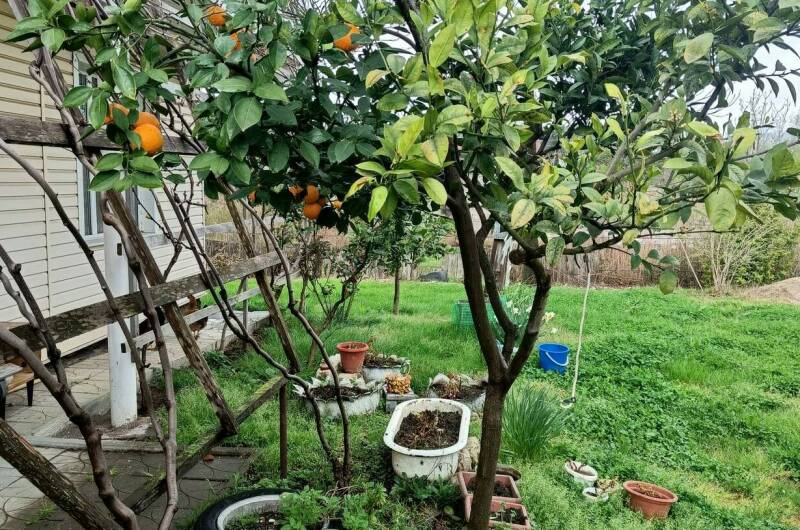 Гостевой дом «Цандрипш»