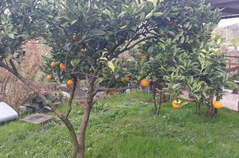 Гостевой дом «Цандрипш»