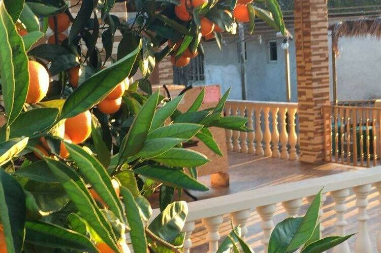 Гостевой дом «Аллея роз»