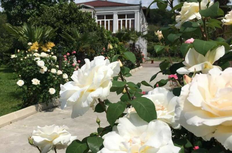 Гостевой дом «Аллея роз»