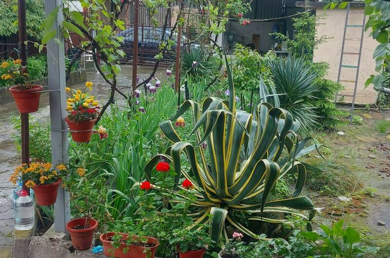 Гостевой дом «Анна»