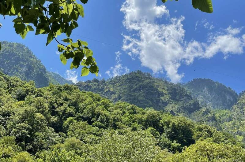 Гостевой дом в уютном месте