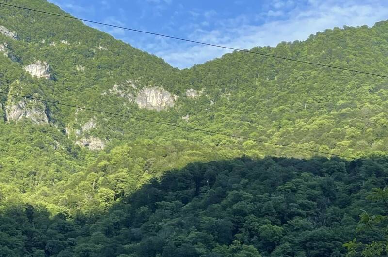 Гостевой дом в уютном месте