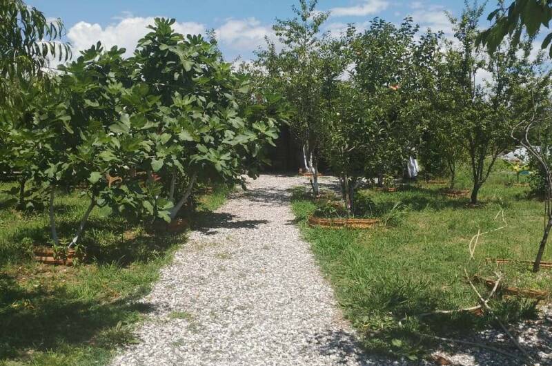 Частный сектор «У Отара»