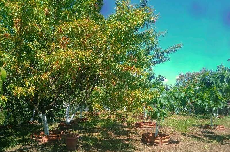 Частный сектор «У Отара»