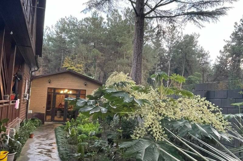 Гостевой дом «House 9»