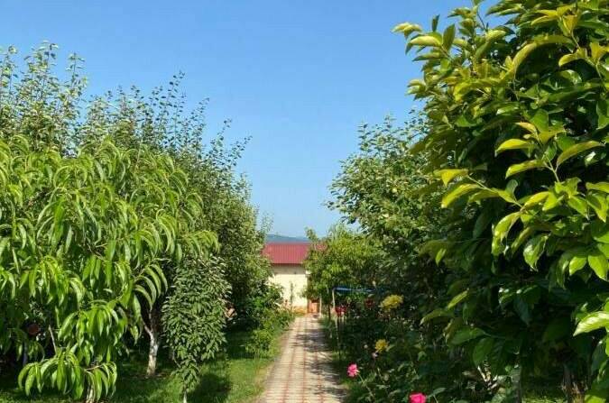 Гостевой дом «У Валентины»