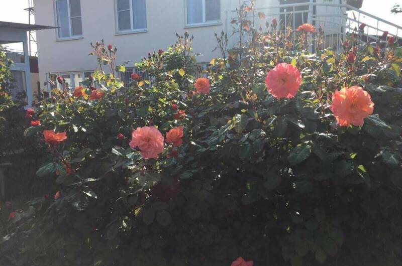 Гостевой дом «У Валентины»