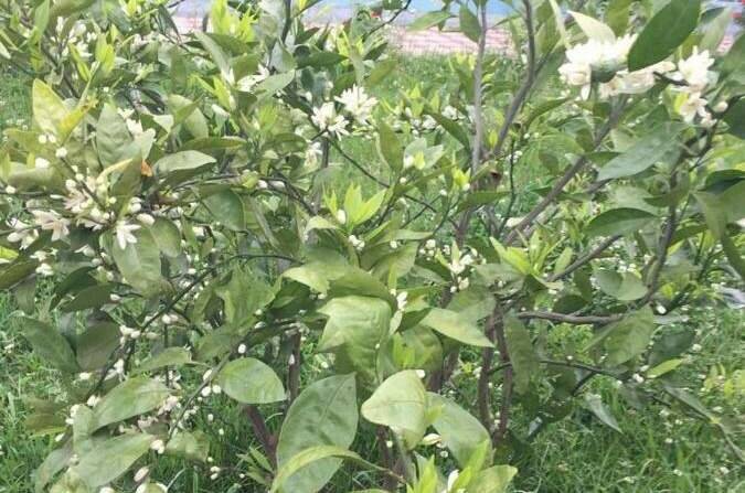 Гостевой дом «У Валентины»