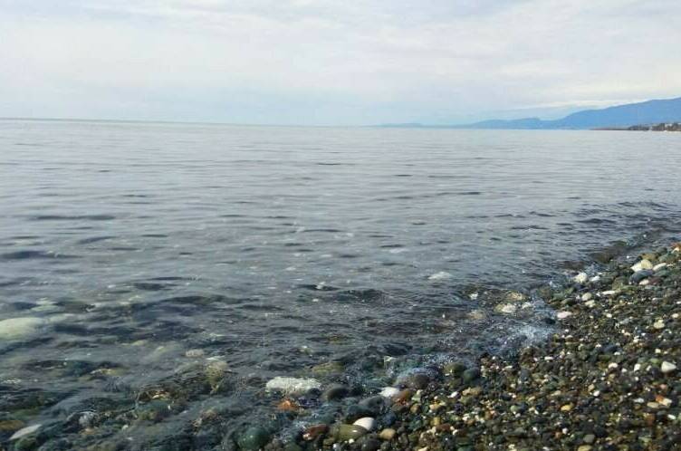 Гостевой дом «Апельсин»