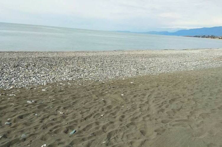 Гостевой дом «Апельсин»