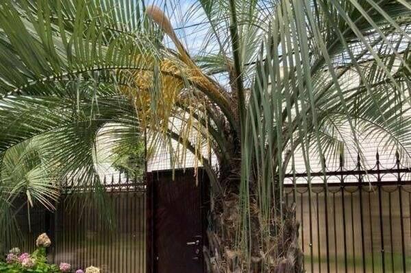 Гостевой дом «У Карины»