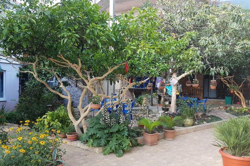 Гостевой дом «Уютный дворик»