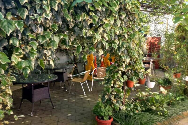 Гостевой дом «Бугенвиллия»