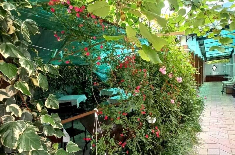 Гостевой дом «Бугенвиллия»