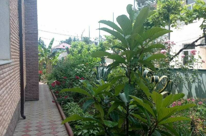 Гостевой дом «Бугенвиллия»