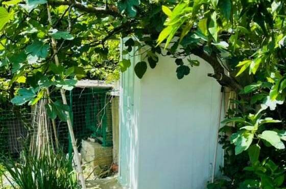 Гостевой дом «Виола»