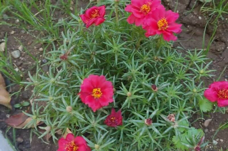 Гостевой дом на Адыгаа