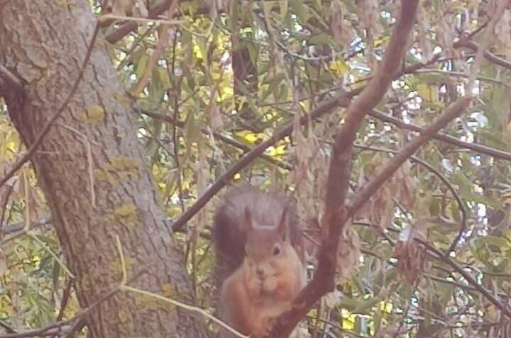 Гостевой дом на Адыгаа