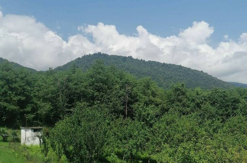 Дом под ключ «Абхазский двор»