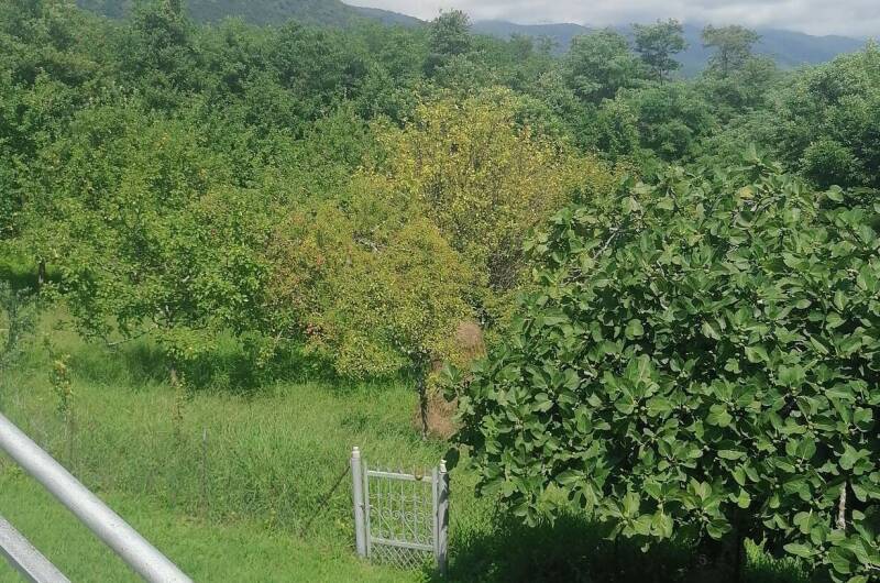 Дом под ключ «Абхазский двор»