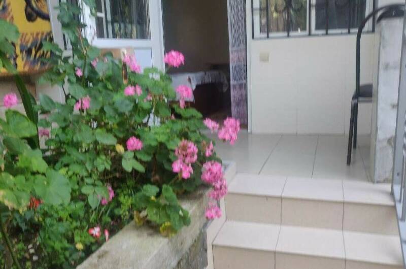 Частный сектор «В гостях у Офелии»