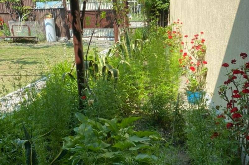 Гостевой дом «У Фариды»