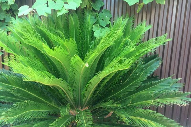 Двухэтажный дом