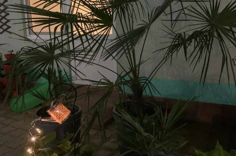 Гостевой дом «Лиана»