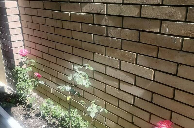 Гостевой дом «Амидея»