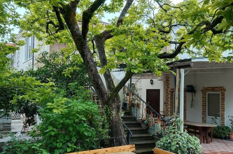 Частный сектор «Толемита»