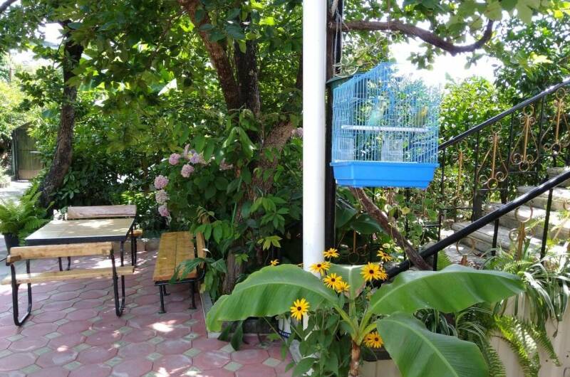 Частный сектор «Толемита»