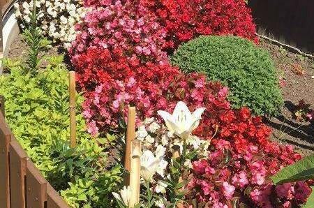 Частный сектор «Марина»