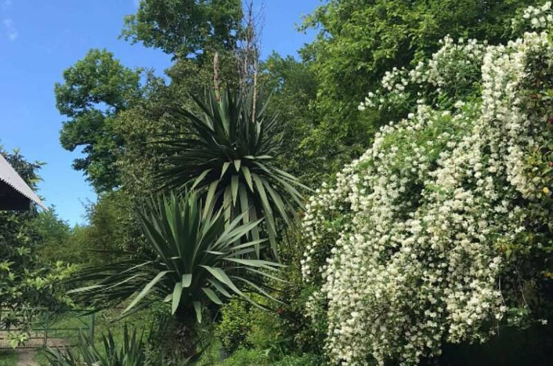 Комната под ключ в Лидзаве