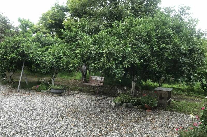 Гостевой дом «У Ерванда»