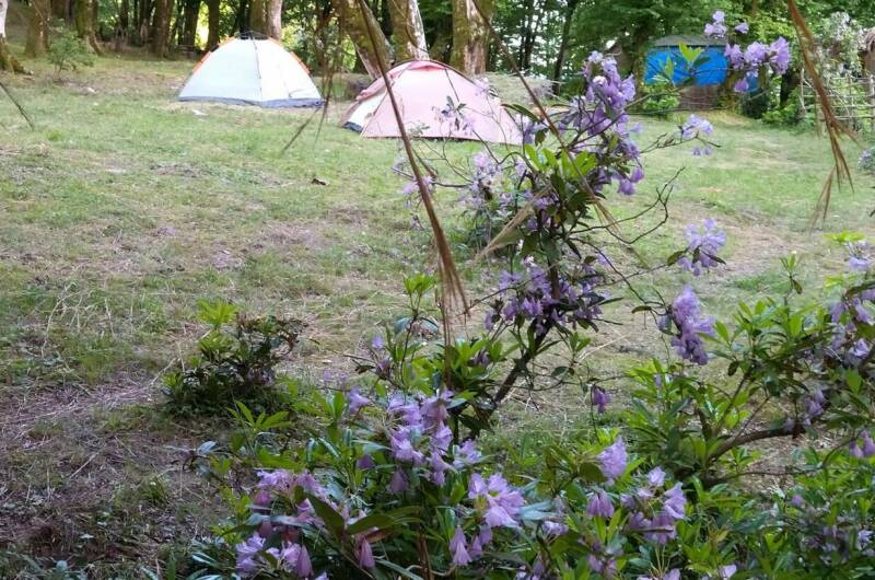 Кемпинг «Шлыпра»