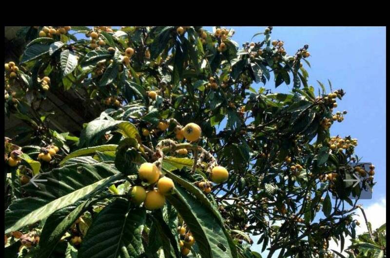 Гостевой дом «У Зураба»