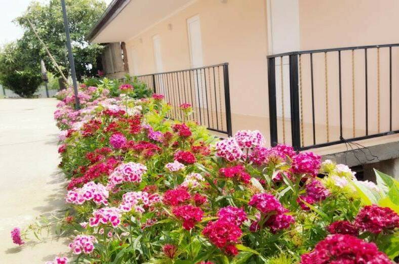 Гостевой дом «Отдых у Жанны»