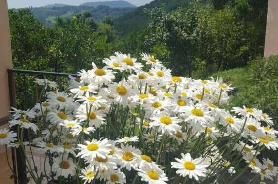 Гостевой дом «Отдых у Жанны»