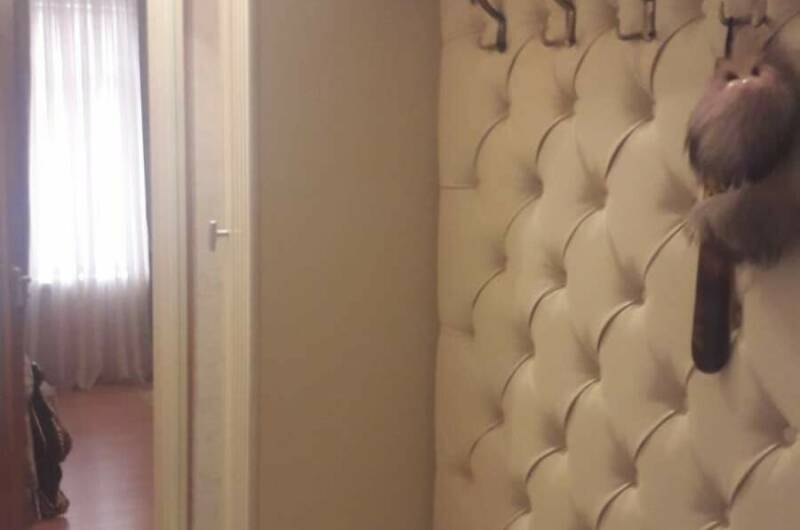 Квартира на Агрба