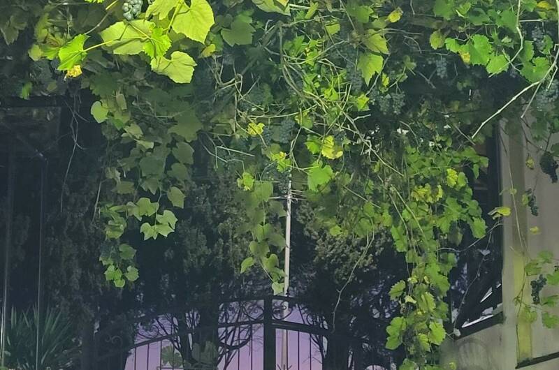 Гостевой дом «Уют»