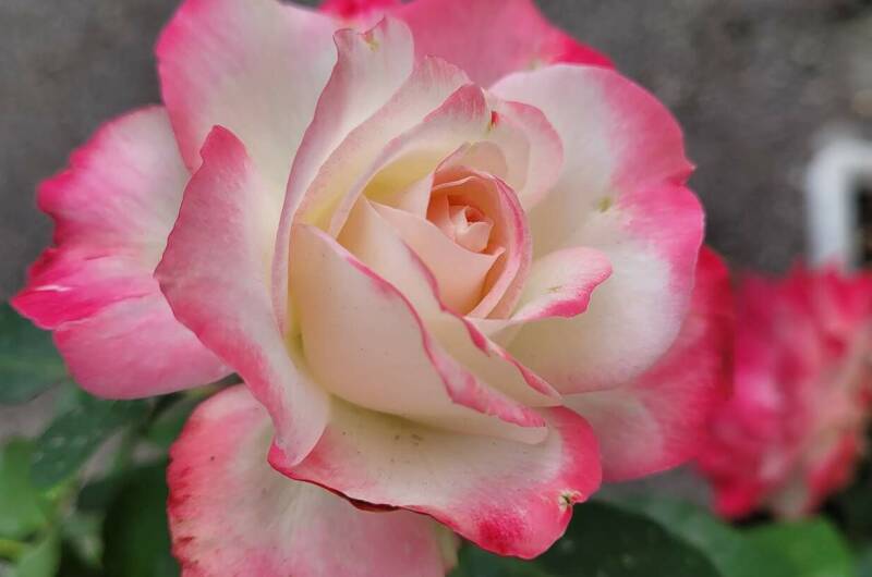 Гостевой дом «Уют»