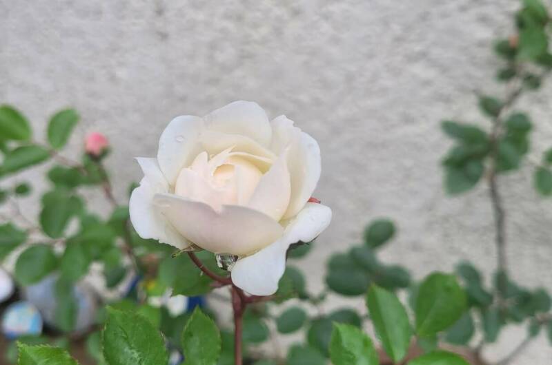 Гостевой дом «Уют»