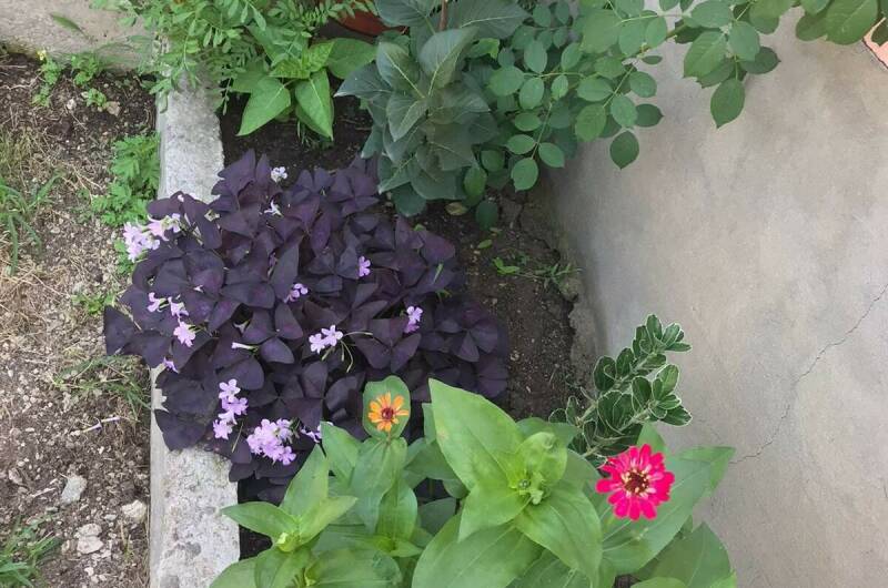 Частный сектор «У Ребеки»