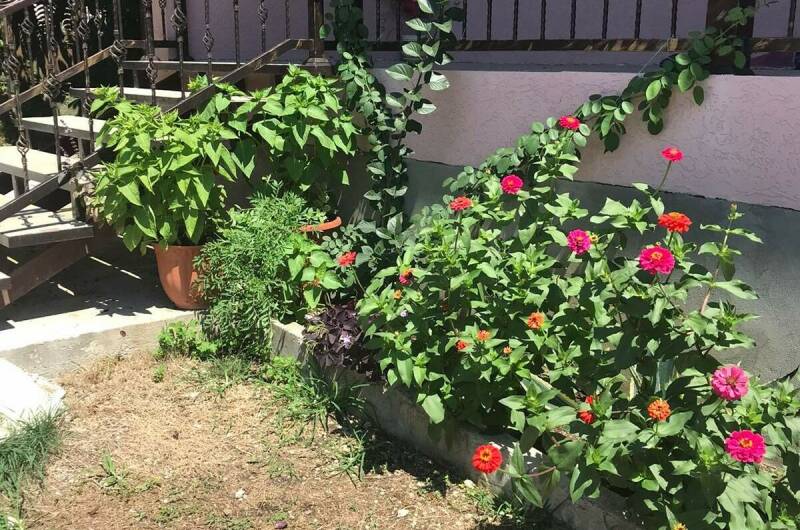 Частный сектор «У Ребеки»