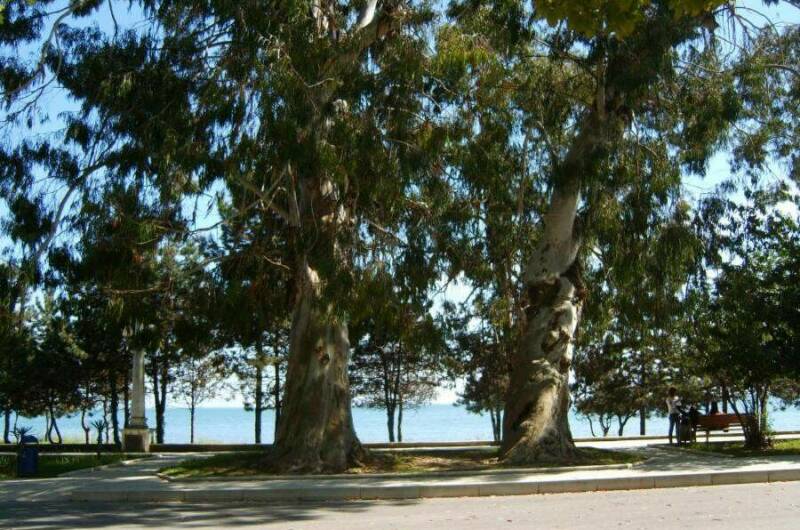 Гостевой дом «Анна»