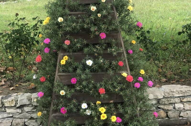 База отдыха «Скурча»