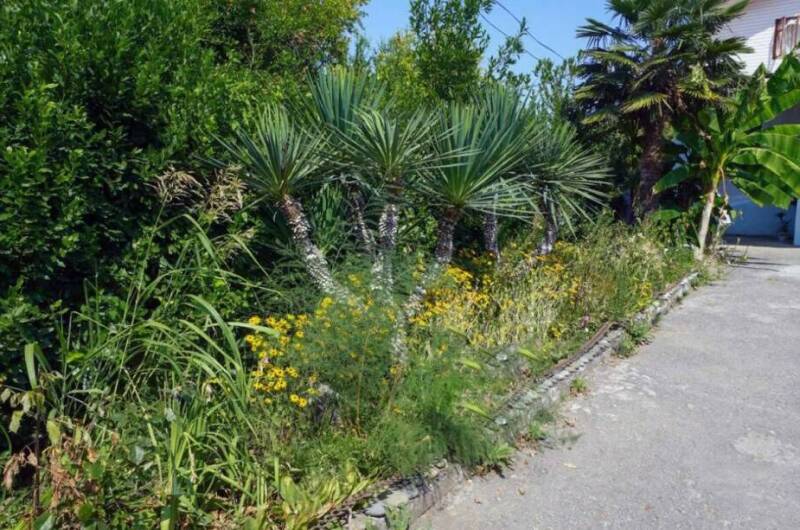 Гостевые домики «Алла Иосиф»